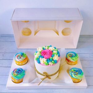 Special Bento Cake Gift Box